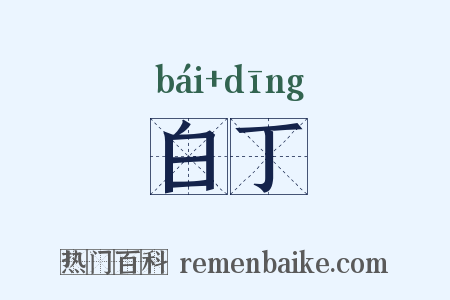 白丁是什么意思的图片